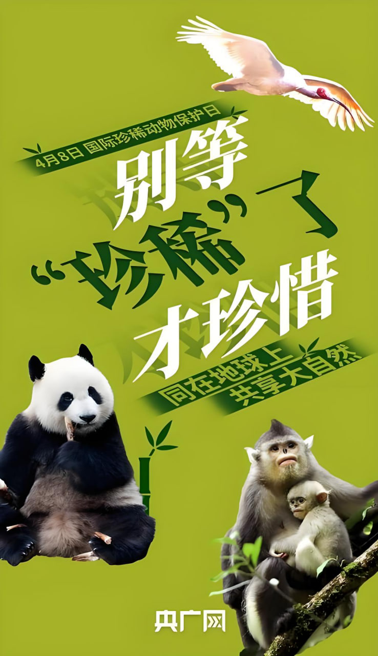 白城网站推广